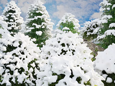 Snow-Covered Trees In Winter Scene With White Snow And Green Foliage Under Sky 3d model