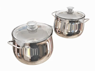 Two Stainless Steel Kitchen Cookware Pots With Transparent Lids And Handles 3d model
