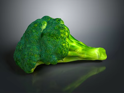 Fresh Green Broccoli as Healthy Nutritious Vegetable on Dark Background 3d model