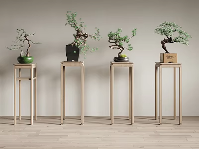 Minimalist Interior Decor With Bonsai Plants On Light Wooden Stands And Neutral Background 3d model