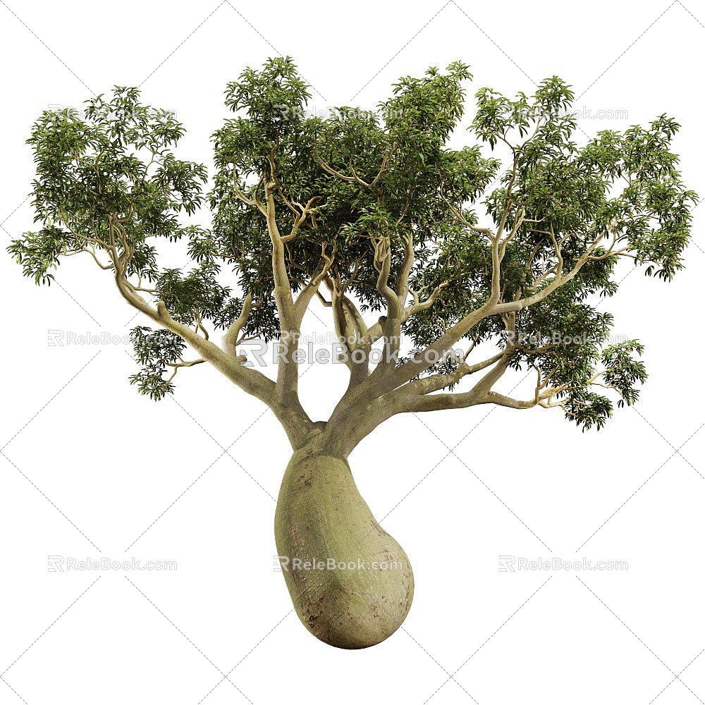 Bottle Tree Plant 3d model