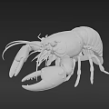 Red Lobster Aquatic Animal Lifelike Model With Detailed Claws And Antennae