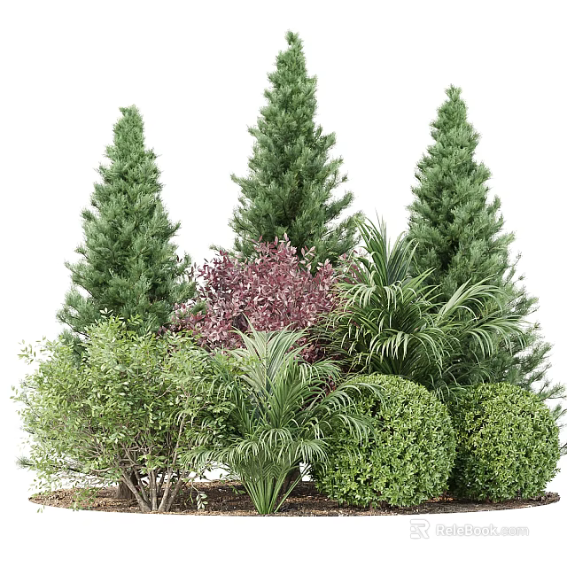 Tall Evergreen Arbor Trees With Purple Foliage And Palm Shrubs In Garden Landscape 3d model 