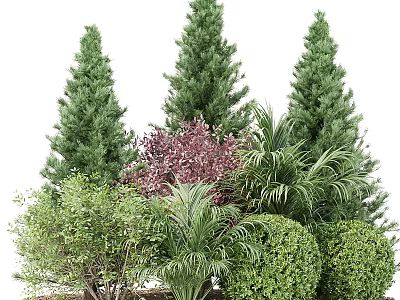 Tall Evergreen Arbor Trees With Purple Foliage And Palm Shrubs In Garden Landscape 3d model