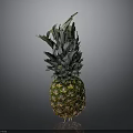 Fresh Ripe Pineapple With Green Leafy Crown And Juicy Texture On Dark Background