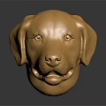 Golden Shiny Dog Head Sculpture With Detailed Features And Reflective Surface