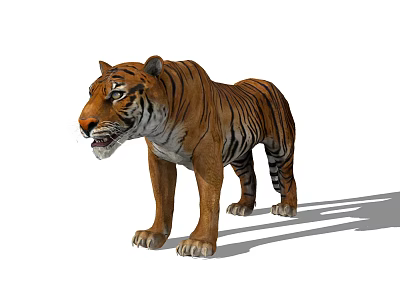 Modern Tiger Animals 3d model Modern Tiger Animals 3d model