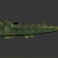 Green Aquatic Crocodile With Open Mouth And Scaly Textured Body