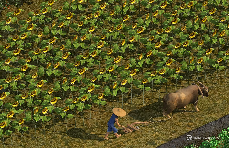 Farmer With Straw Hat Plowing Sunflower Field Using Buffalo 3d model 