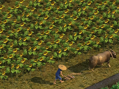 Farmer With Straw Hat Plowing Sunflower Field Using Buffalo 3d model