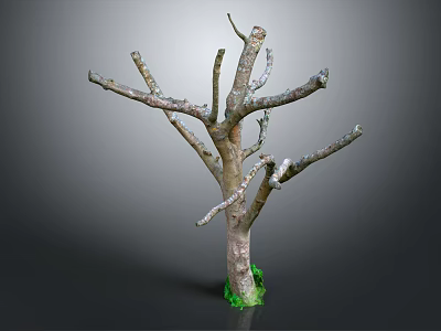 Natural Wooden Tree Trunk With Branches And Green Moss Decorative Element 3d model