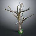 Natural Wooden Tree Trunk With Branches And Green Moss Decorative Element
