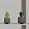 Two Green Cacti In Gray Pots On White Shelf With Wooden Accent Wall