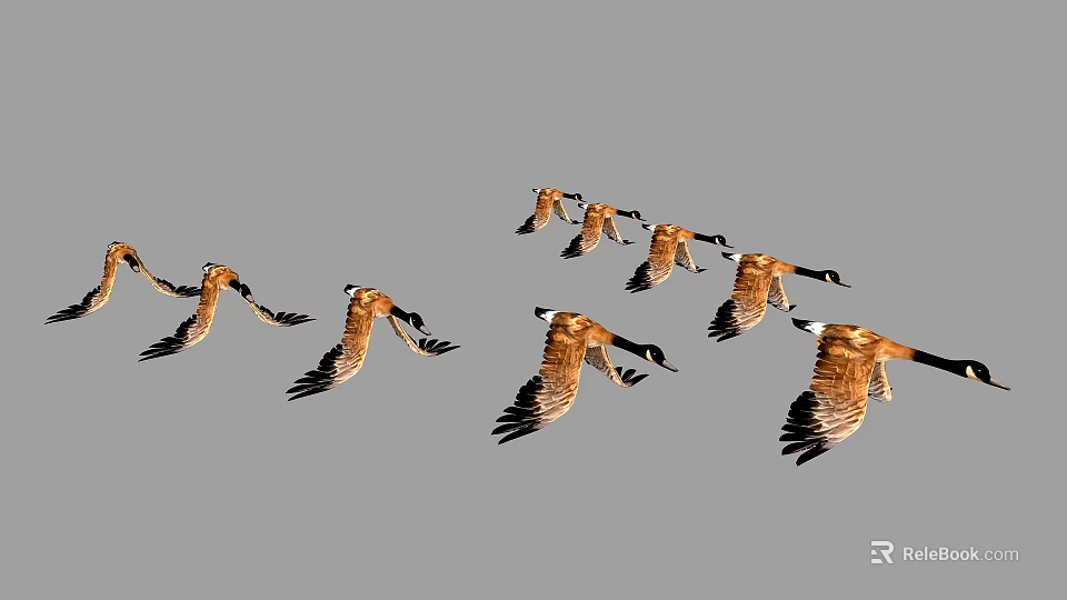 Flock of Brown Feathered Geese Flying in V Formation Across Clear Sky 3d model 