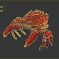 Red Crab With Vibrant Red Shell And Large Claws On Gray Background Showcasing Details
