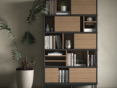 Modern bookcase combination model