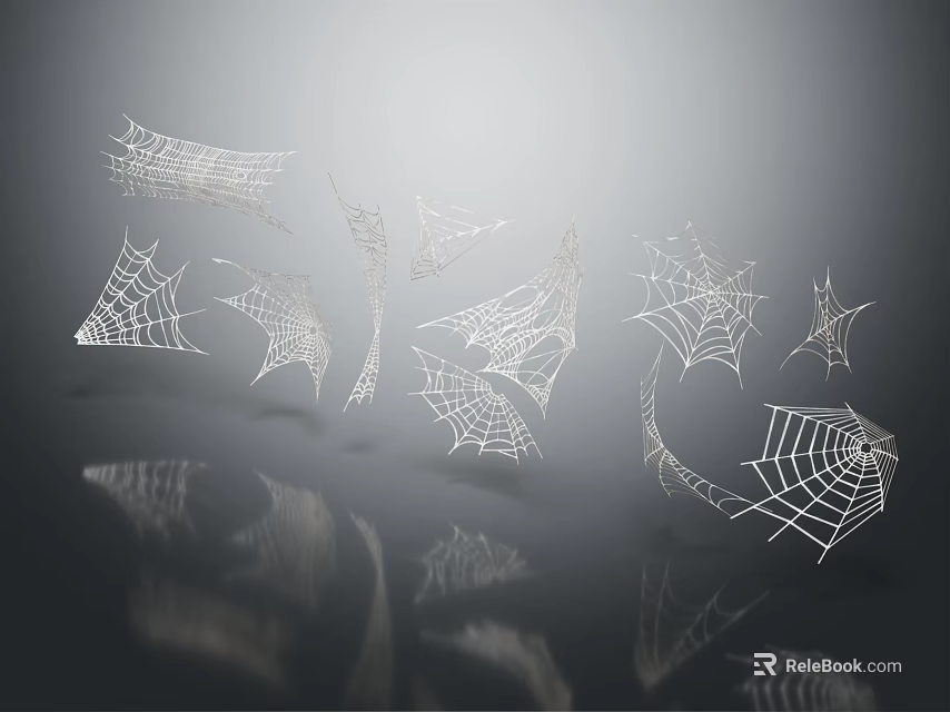 Reptile Near Multiple Detailed White Spider Webs On Gray Reflective Background 3d model 