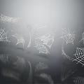 Reptile Near Multiple Detailed White Spider Webs On Gray Reflective Background