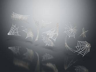 Modern Spider Web 3d model