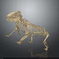 Anatomical Animal Skeleton With Detailed Bone Structure Display On Gray Background 3d model