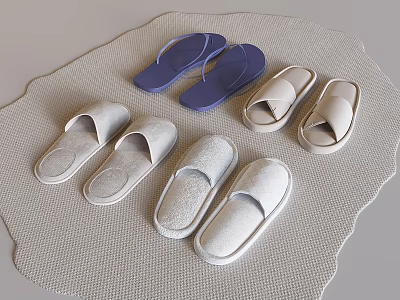 Multiple pairs of soft indoor slippers in white light gray and blue on woven mat 3d model