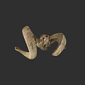 Ram Skull Sculpture With Curved Horns And Detailed Bone Texture On Dark Background