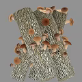 Rustic Wooden Logs With Natural Bark Topped With Brown Mushrooms Stacked Together
