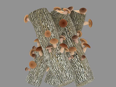 Rustic Wooden Logs With Natural Bark Topped With Brown Mushrooms Stacked Together 3d model