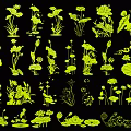 Different Types of Aquatic Plants Illustration Set With Lotus And Lily Pads