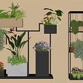 Indoor Plants And Flowers On Wall Mounted Shelves With Black Frames And White Planters