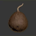 Brown Fibrous Round Food With Curved Stem And Natural Texture