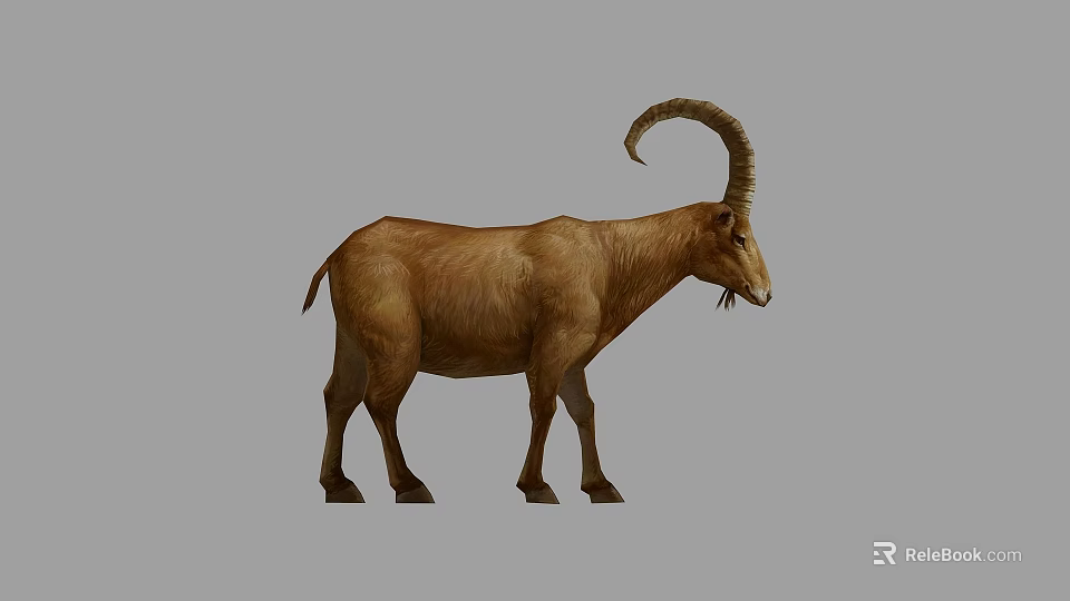 Brown Mountain Goat With Large Curved Horns Standing On Gray Background 3d model 