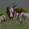 Different Reptile Species Living In Green Grassland With Other Animals