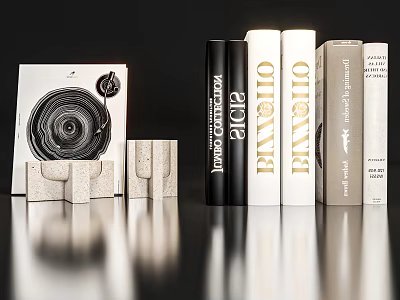 Stylish Biography Books Arrangement With Black White Beige Covers And Decorative Objects 3d model