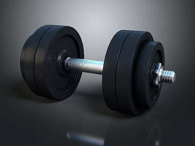Black Adjustable Dumbbell With Weight Plates And Metal Bar For Fitness Training 3d model