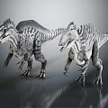 Realistic Two Velociraptors 3D Models With Striped Skin Standing On Gray Background 3d model