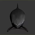 Realistic Dolphin With Streamlined Body On Grey Gradient Background And Reflection On Smooth Surface 3d model