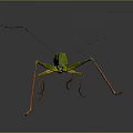 grasshopper insect cartoon locust animation locust anime locust anime game character 3d model