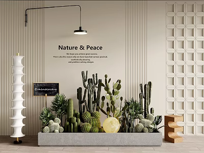 09 cactus modern flower bed flower pond cactus plant pile 3d model