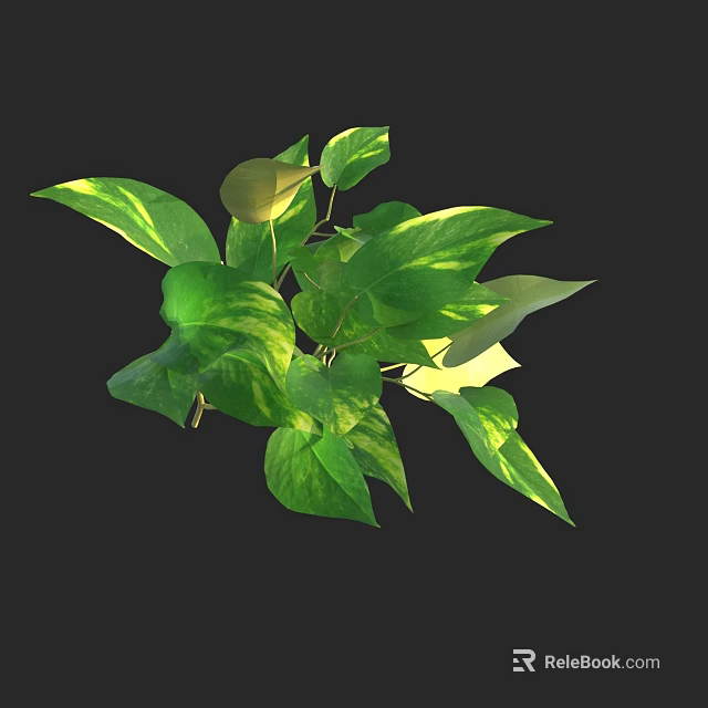 Lush Green Foliage Plant With Yellow Variegation And Diverse Leaf Shapes Sizes 3d model 