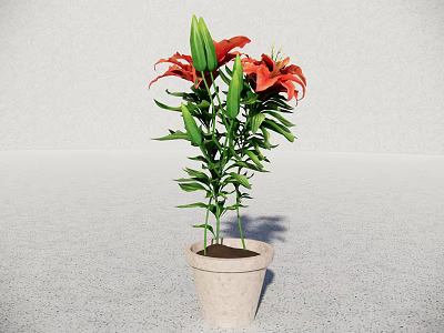 Vibrant Potted Bonsai Plant With Red Lilies Green Leaves And Buds In Terracotta Pot 3d model