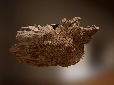 Weathered Stone Wood Decorative Piece With Natural Rough Texture And Irregular Shape 3d model