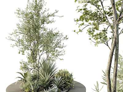 Bonsai Potted Plants With Lush Green Foliage Slender Trunks And Decorative Round Base 3d model