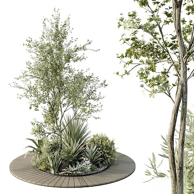 Bonsai Potted Plants With Lush Green Foliage Slender Trunks And Decorative Round Base 3d model