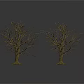 Two Leafless Trees With Exposed Trunks And Roots On White Background