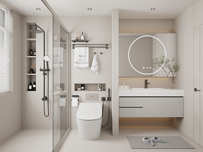 Modern bathroom and toilet dry and wet separation model