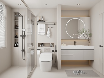 Modern bathroom and toilet dry and wet separation 3d model