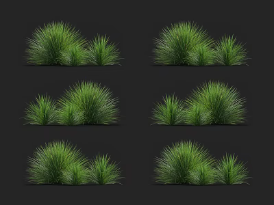 Various Green Grass Clusters In Different Arrangements On Black Background 3d model
