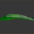 Lush Green Plants With Yellow Flowers And Fresh Leaves In Vibrant Green Background