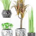 Indoor Decorative Bonsai Potted Plants With Green And Colorful Foliage In Geometric Marble Pots